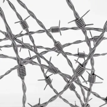 hot dipped Excellent Galvanized Razor Barbed Wire